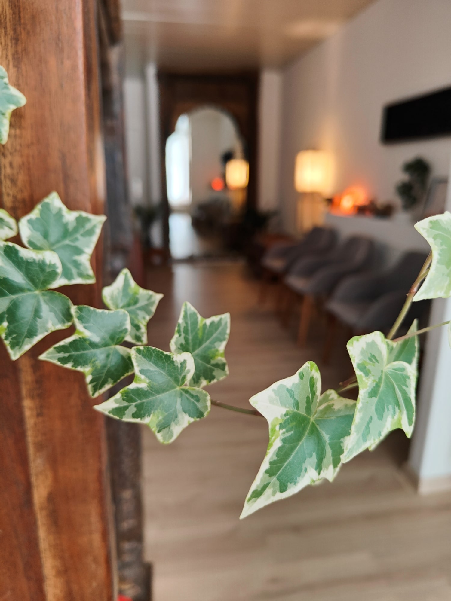 ORAH Cours de massage, Kobido, Lomi Lomi, massage sportif massage assis, formations bien-être au centre Orah, école accréditée ASCA à Lausanne