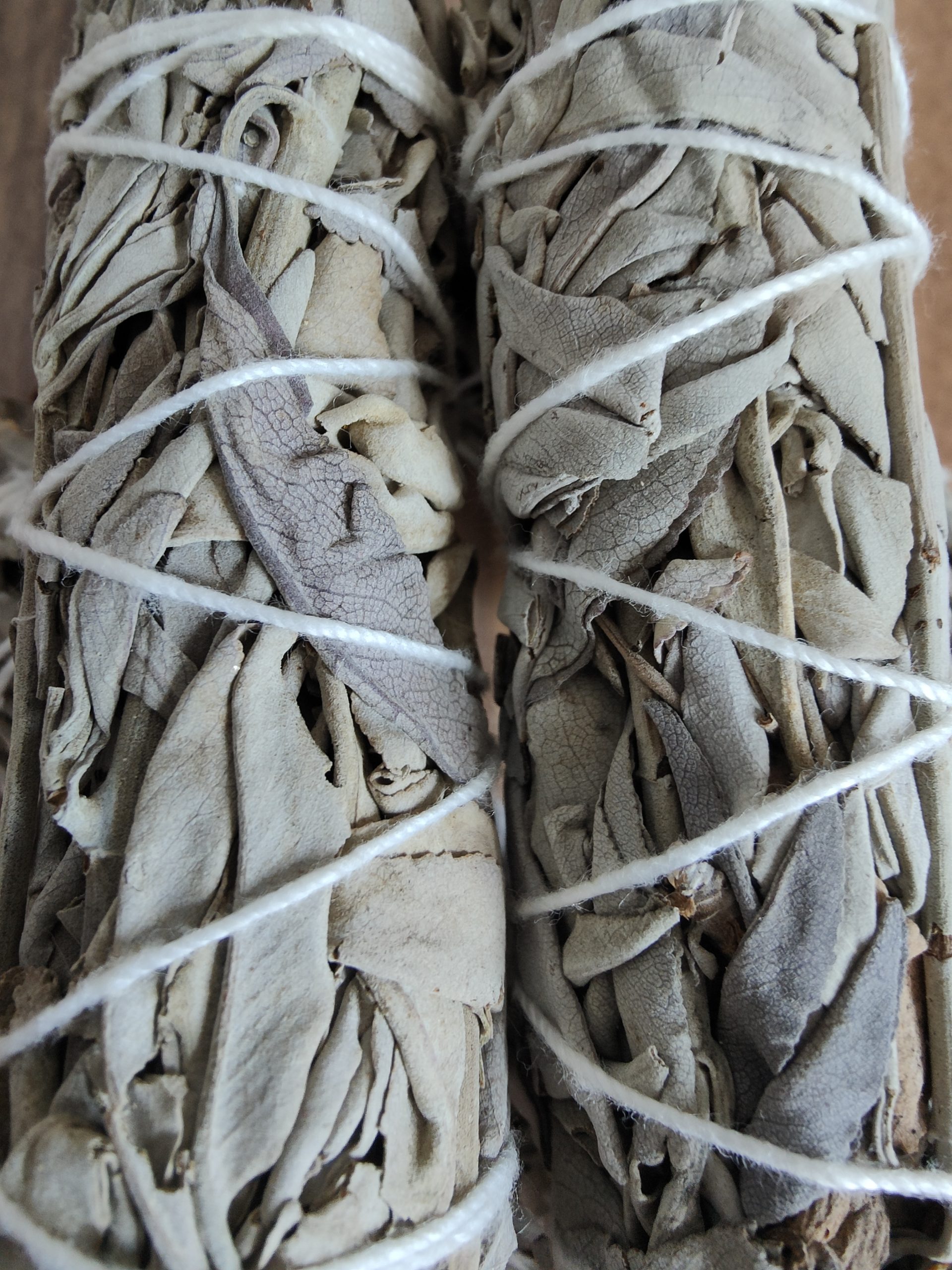 Sauge, Benjoin encens Sandalwood, bois précieux, dans notre boutique Pandorah, résine oliban