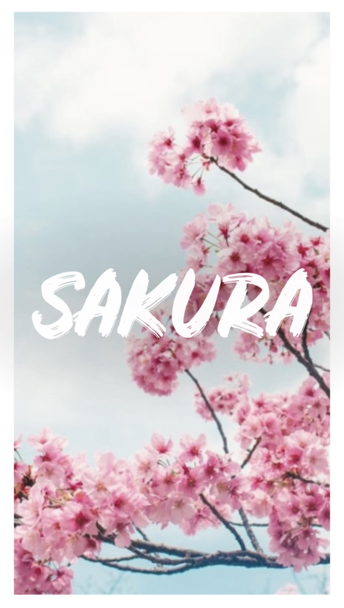 Massage Sakura